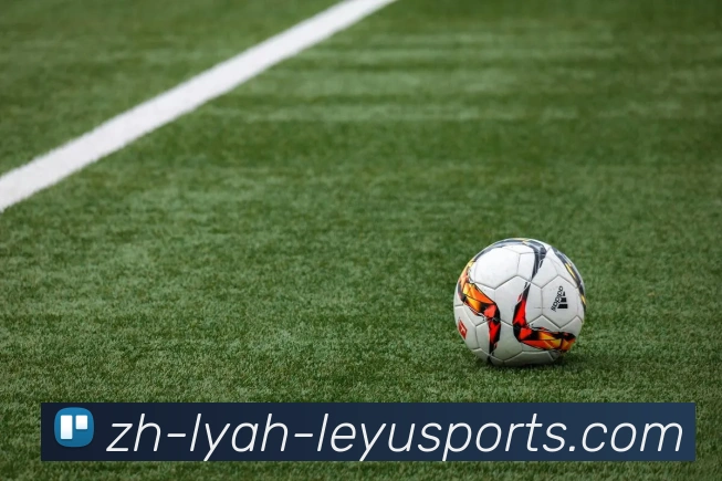 乐鱼体育服务体系